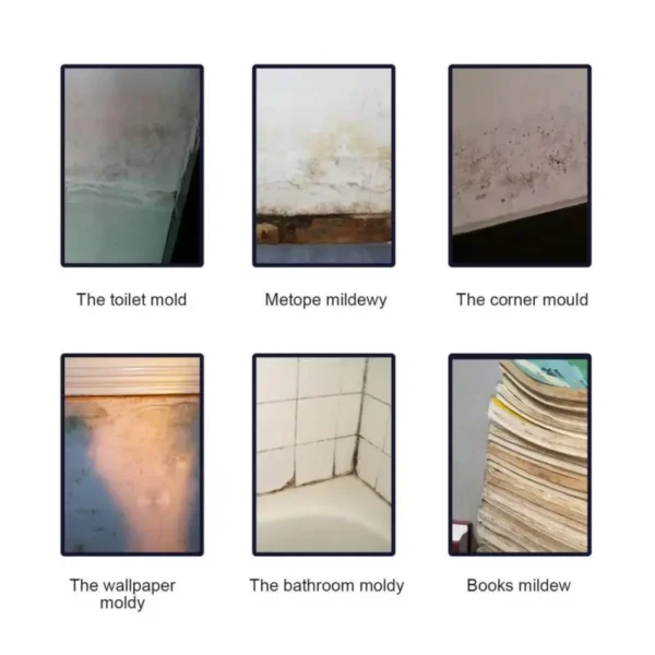 1~5PCS Household Mold Remover Spray Mildew Cleaning Agent Furniture Tile Removal Floor Wall Cleaner Home Multifunctional Mold - Image 2