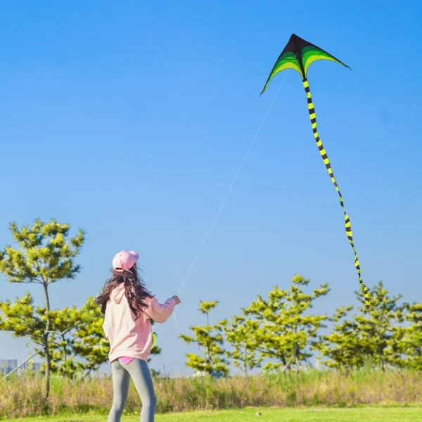 YongJian Large Delta Kite for Kids & Adults Easy to Fly Large Huge Delta Kite Come with 6m Tail Easy to Fly Kite Outdoor Toy - Image 2