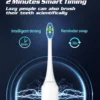 Sonic Electric Toothbrushes for Adults Teeth Whitening Toothbrush IPX7 Waterproof Smart Timer 6 Replaceable Heads Set - Image 4