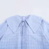 ZBZA Women's Bib Collar Gingham Shirt Lapel Long Sleeve Single Breasted Hidden Button Bow Tie Top Spring Summer New Chic Shirt - Image 2