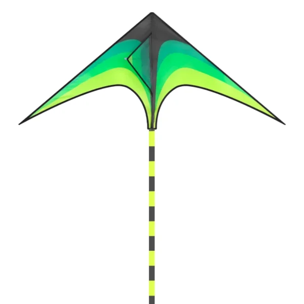 YongJian Large Delta Kite for Kids & Adults Easy to Fly Large Huge Delta Kite Come with 6m Tail Easy to Fly Kite Outdoor Toy - Image 6